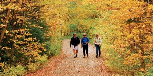Top 10 Country Walks in New England