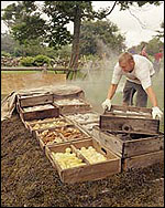 New England Clambake
