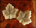 New England Maple Sugar