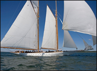 Museum of Yachting