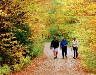 Top 10 Country Walks