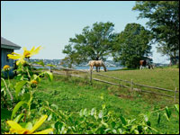 Editor's Choice – Newport Rhode Island
