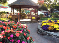 Editor's Choice – Mystic Connecticut
