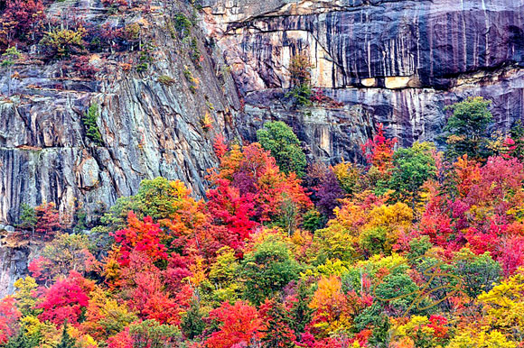 Editor's Choice – North Conway, Kancamagus & North Woodstock