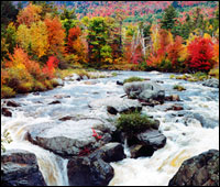 Editor's Choice – North Conway, Kancamagus & North Woodstock