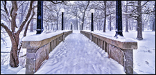 deering oaks