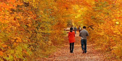 Explore Romantic Getaway Ideas in New England