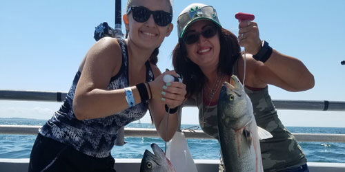 Bluefish Girls 500x250 - Black Hawk Party Boat - Niantic, CT