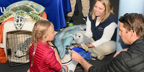 Animal Rescue Clinic 500x250 - Mystic Aquarium - Mystic, CT
