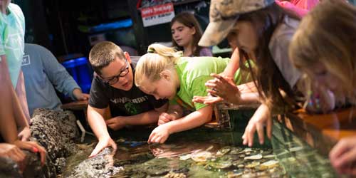 Touch Aquarium Save The Bay Narragansett Bay Rhode Island