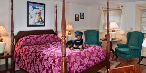 Dog on the Four Poster - Stonehurst Manor - North Conway, NH