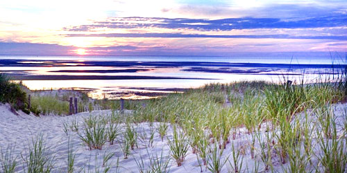 Art’s Dune Tours Provincetown Cape Cod MA