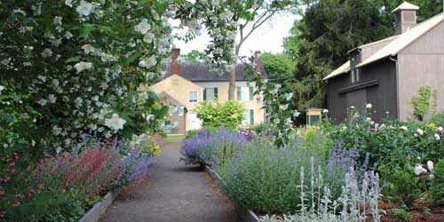 Florence Griswold Garden - Old Lyme, CT - Photo Credit Connecticut's Historic Gardens