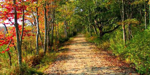 Editor's Choice - South Coast of Maine - Rachel Carson National Wildlife Refuge