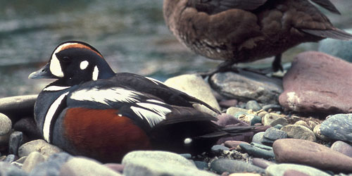 Sachuest Point National Wildlife Refuge in Middletown - Great Things To Do