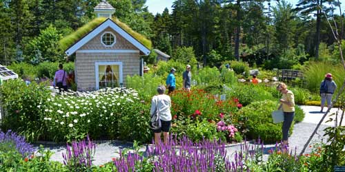 Coastal Maine Botanical Gardens in Boothbay, ME - Photo Credit Coastal Maine Botanical Gardens