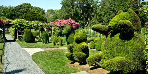 Green Animals Topiary Garden in Portsmouth RI with VisitNewEngland.com