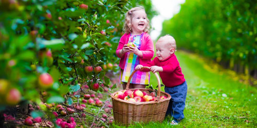 Farms Visits & Agritourism in New England - Photo Credit Shutterstock