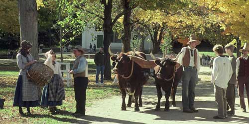 Oxen on the Common - Old Sturbridge Village - Sturbridge, MA