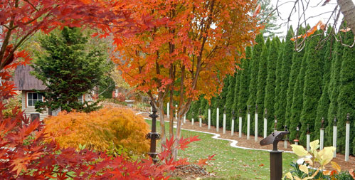 bedrock gardens in Lee NH