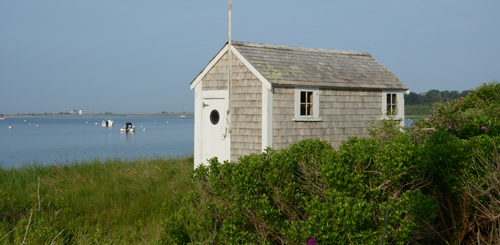 Cape Cod nationa Seashore trails