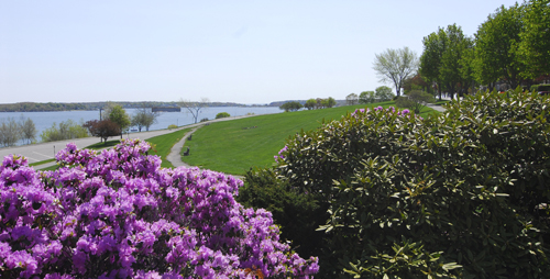 marginal way portland maine