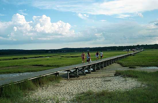 Walking Bridge - Upper Cape Cod, MA