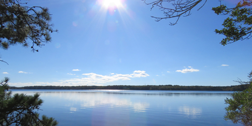 Lowell Holly Reservation - Upper Cape Cod, MA