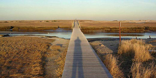 Sandwich Boardwalk - Upper Cape Cod, MA