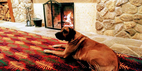 Fireplace Dog - The Wolfeboro Inn - Wolfeboro, NH