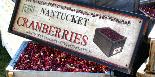 Cranberries - Classic Foods of New England