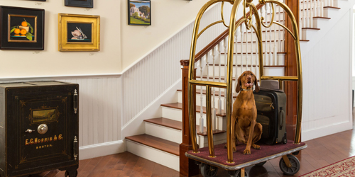 Pet Friendly 2019 - 16 Bay View Hotel - Camden, ME