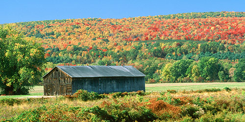 New England Fall Foliage