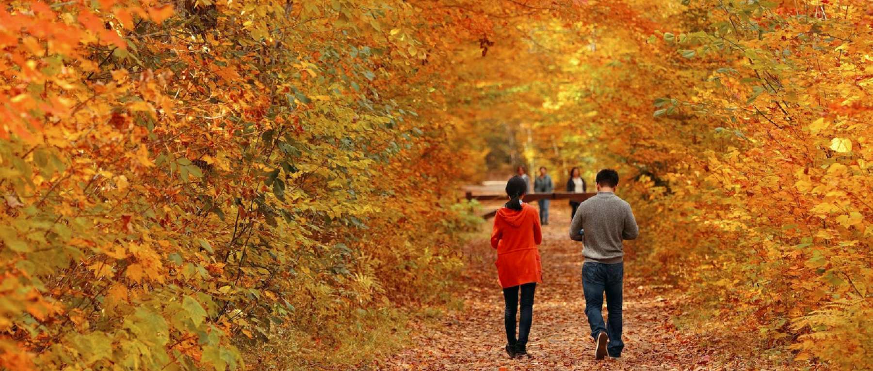 Fall Trail Walking in Vermont - Photo Credit Shutterstock