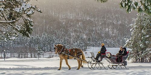 Horse Drawn Sleigh Ride in the Mt. Washington Valley - White Mountains, NH
