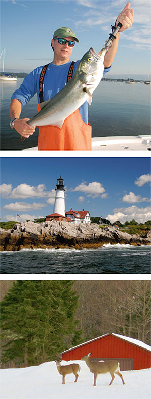 Visit New England Who We Are