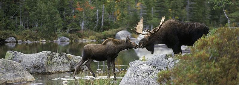 North Country New Hampshire