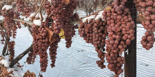 Winter on the Connecticut Wine Trail - Great Things To Do