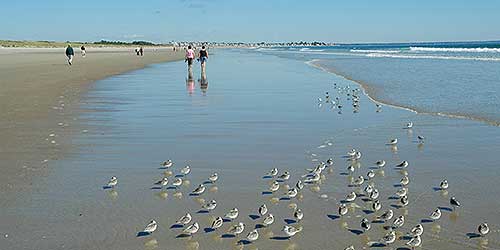 Beaches on Maine's South Coast