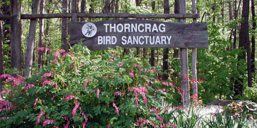 Thorncrag Nature Sanctuary - Lewiston, ME