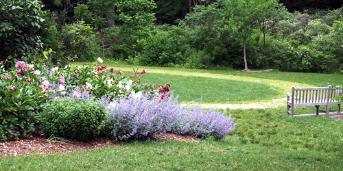 acton arboretum