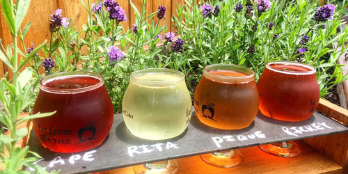 far from the tree cidery