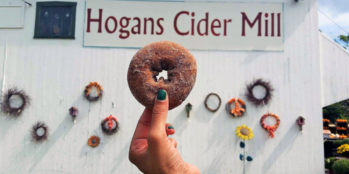 hogan's cider mill