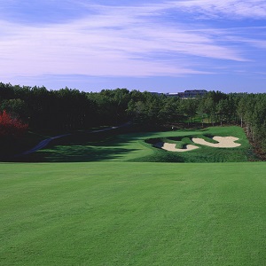 Golfing in Plymouth