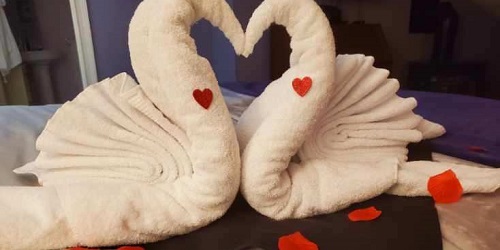Swan Towels & Rose Petals - Adair Country Inn & Restaurant - Bethlehem, NH