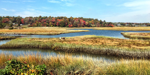 walks at laudholm