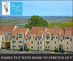 Village by the Sea - Family Fun with Room to Stretch Out! - Wells, ME