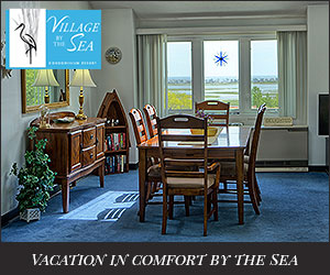 Village by the Sea - Family Fun with Room to Stretch Out! - Wells, ME