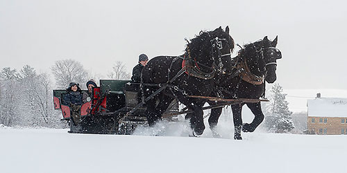 Sleigh Ride - Mountain Top Inn - Chittenden, VT