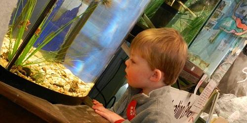 Aquarium Boy - Save The Bay - Narragansett Bay, RI